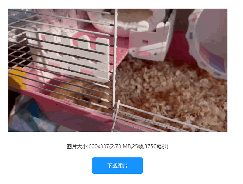 怎么修改gif圖片尺寸？一鍵教你快速修改gif大小/